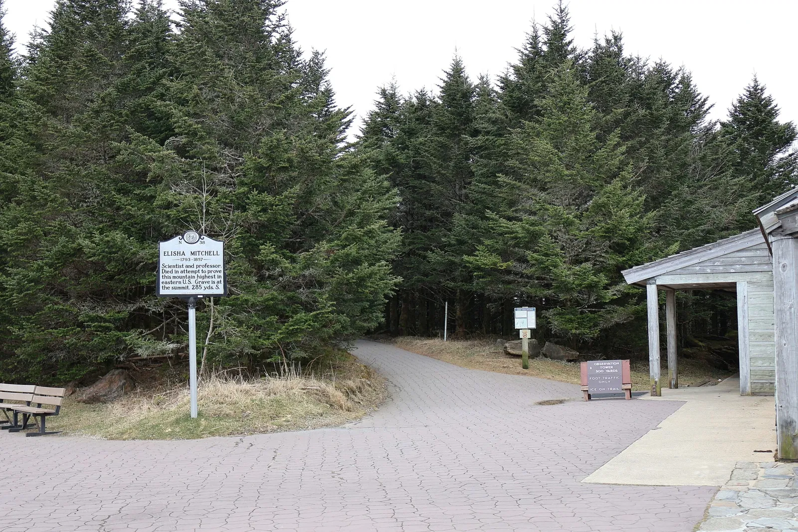 Mount Mitchell State Park