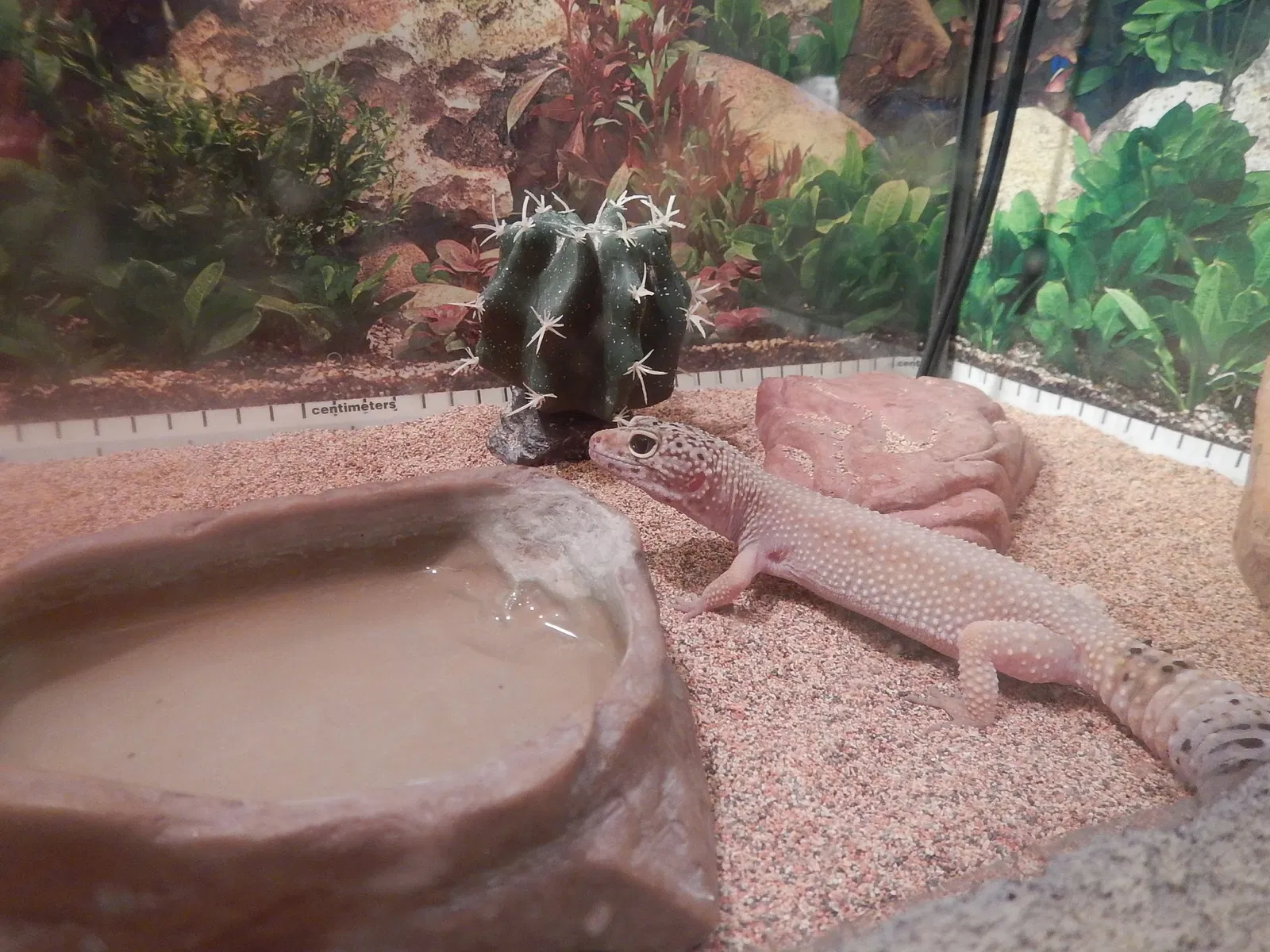 Saskatchewan Science Centre