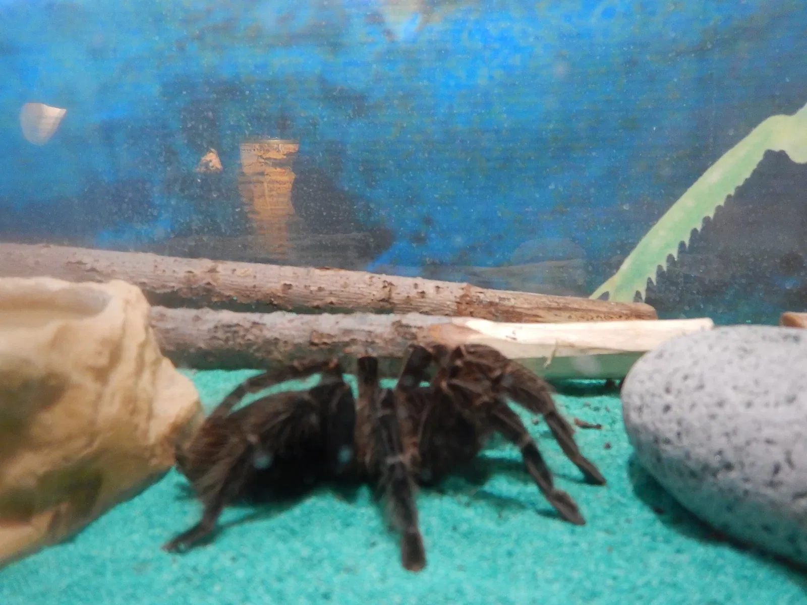 Saskatchewan Science Centre