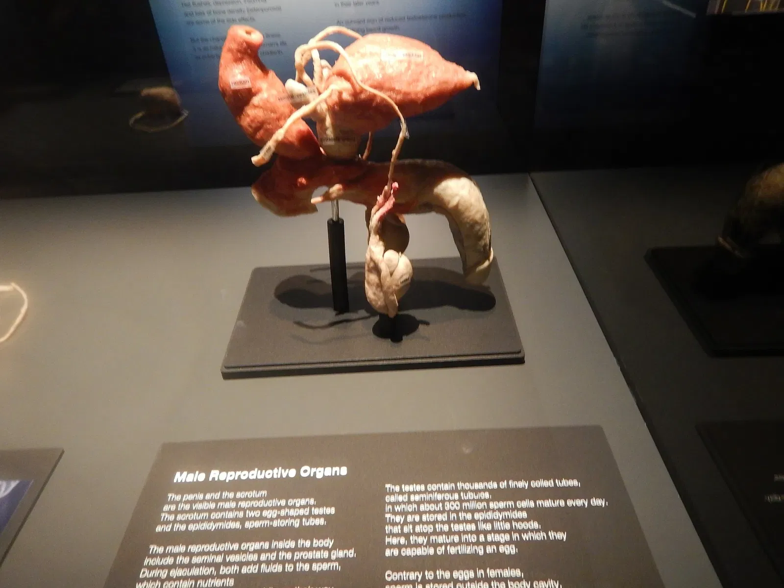 Saskatchewan Science Centre