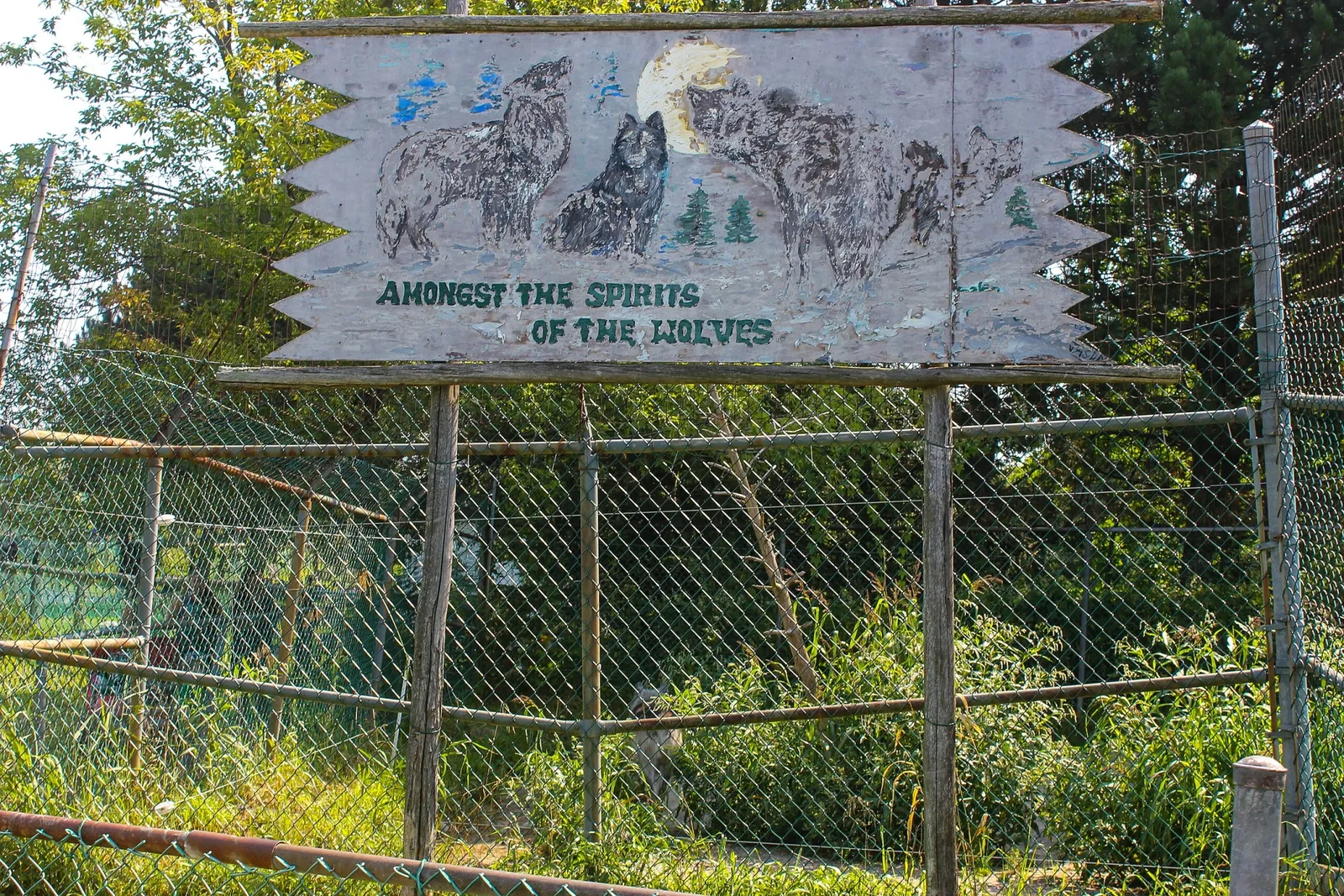 Jungle Cat World Wildlife Park