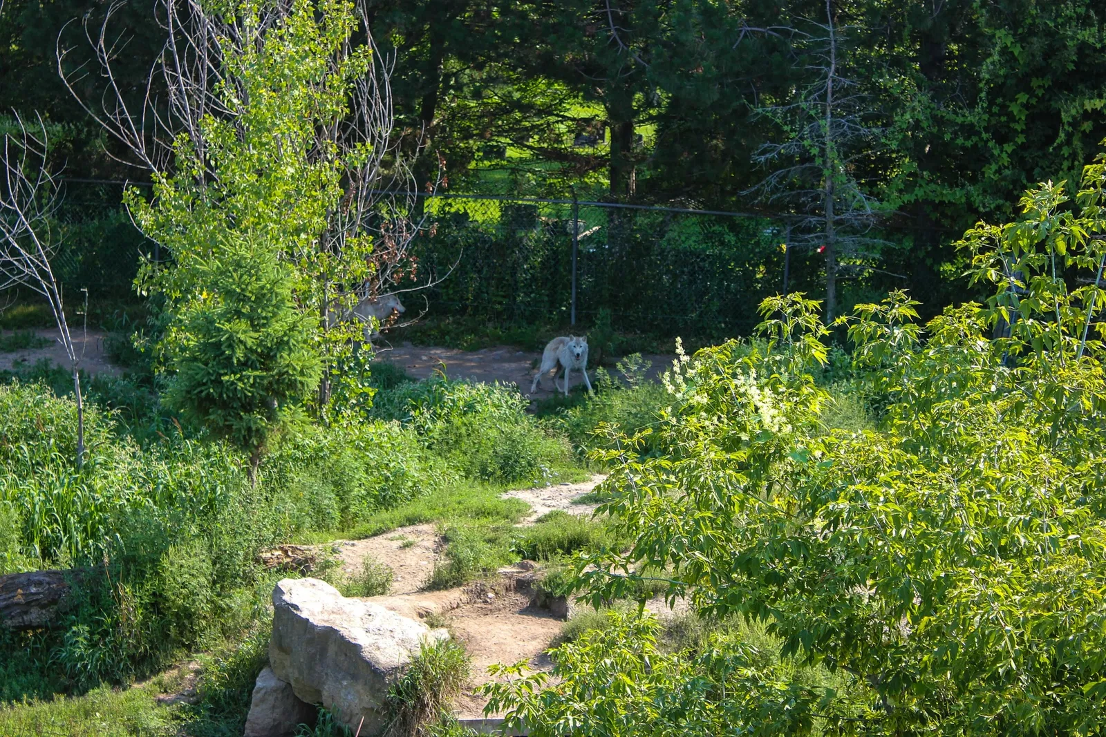 Jungle Cat World Wildlife Park