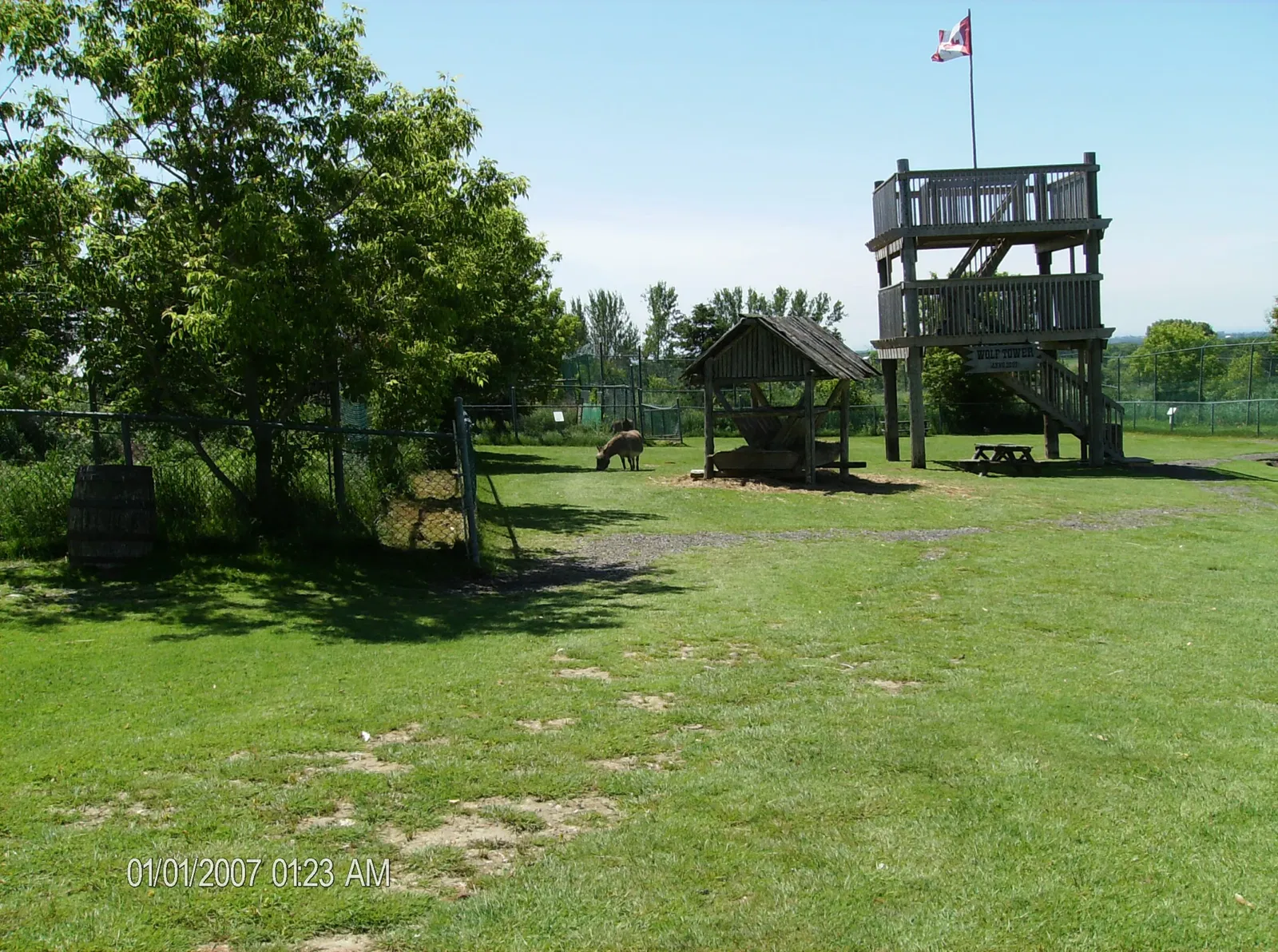 Jungle Cat World Wildlife Park