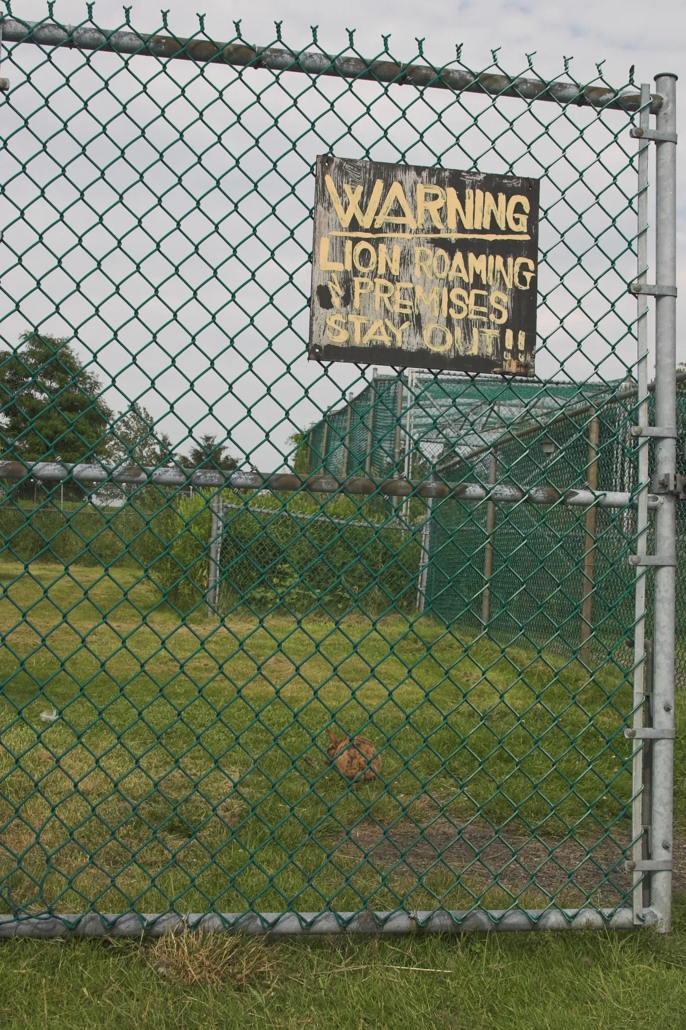 Jungle Cat World Wildlife Park