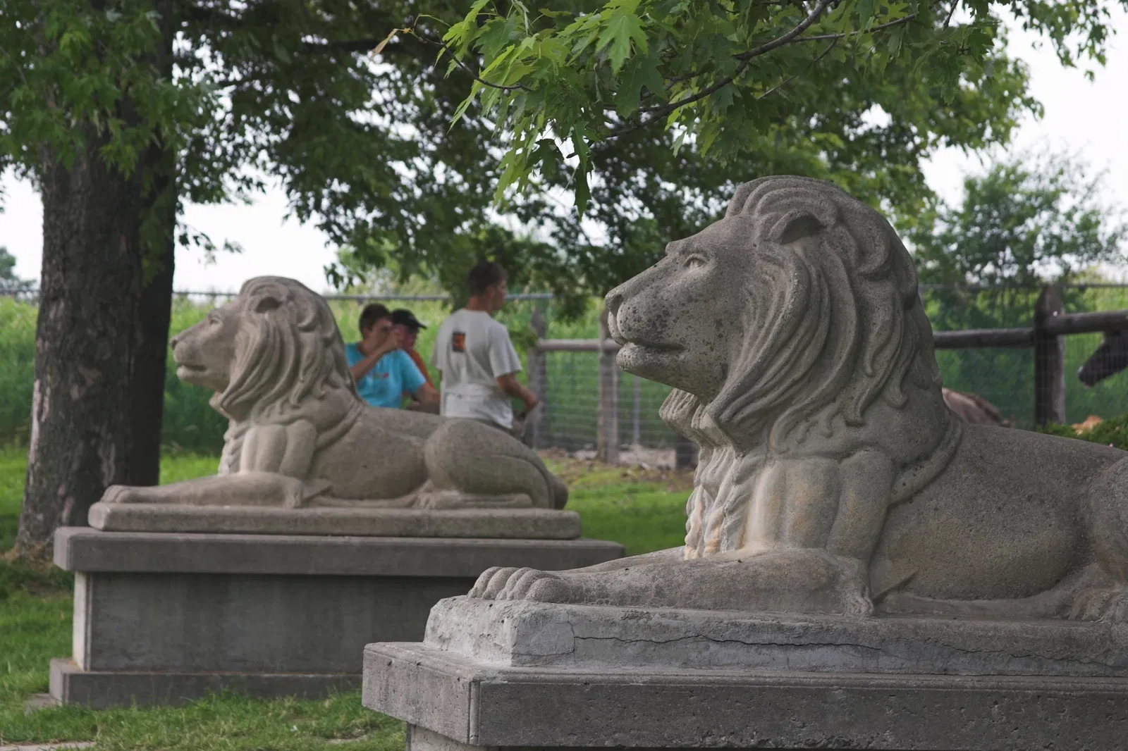 Jungle Cat World Wildlife Park