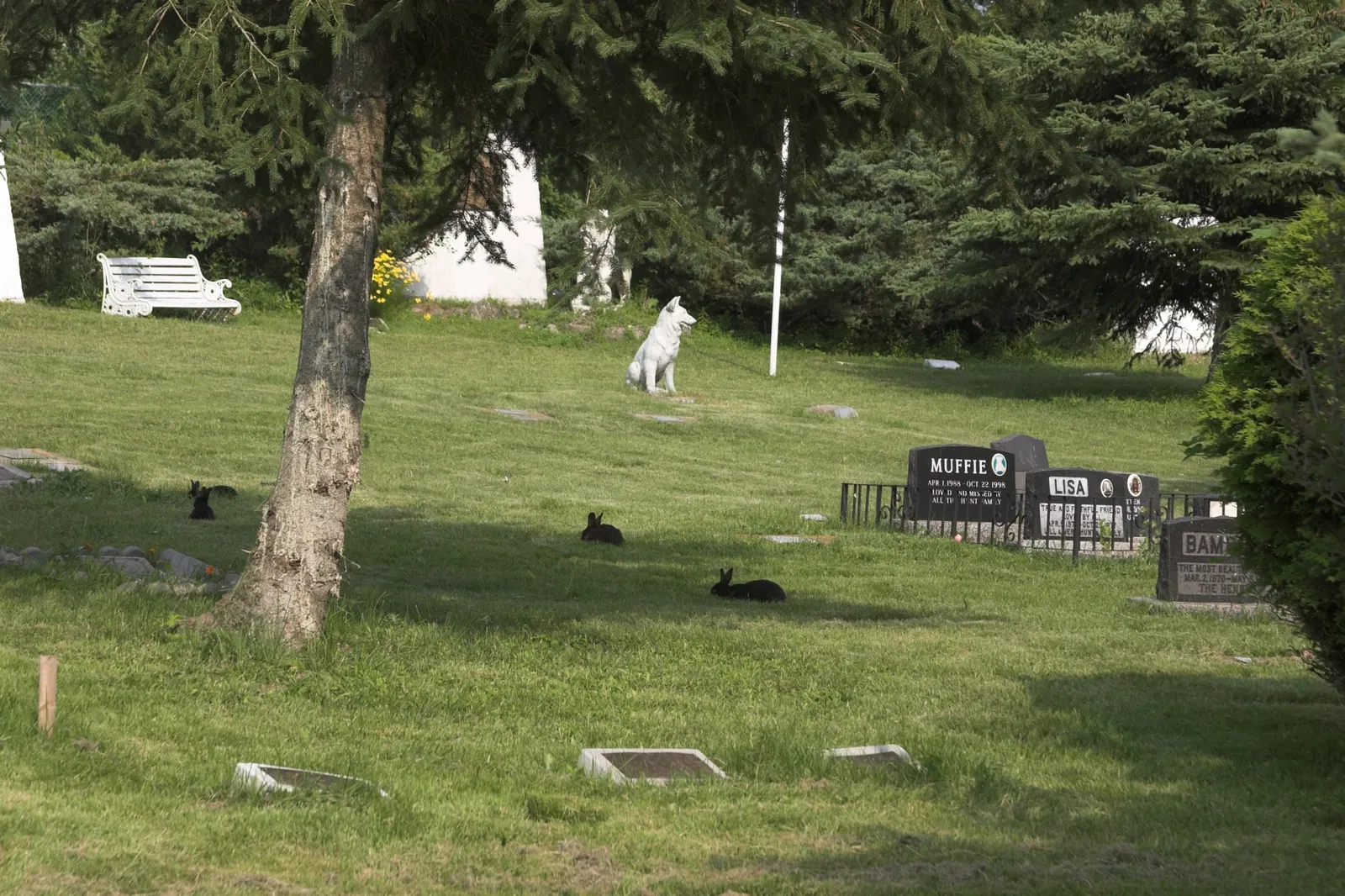 Jungle Cat World Wildlife Park