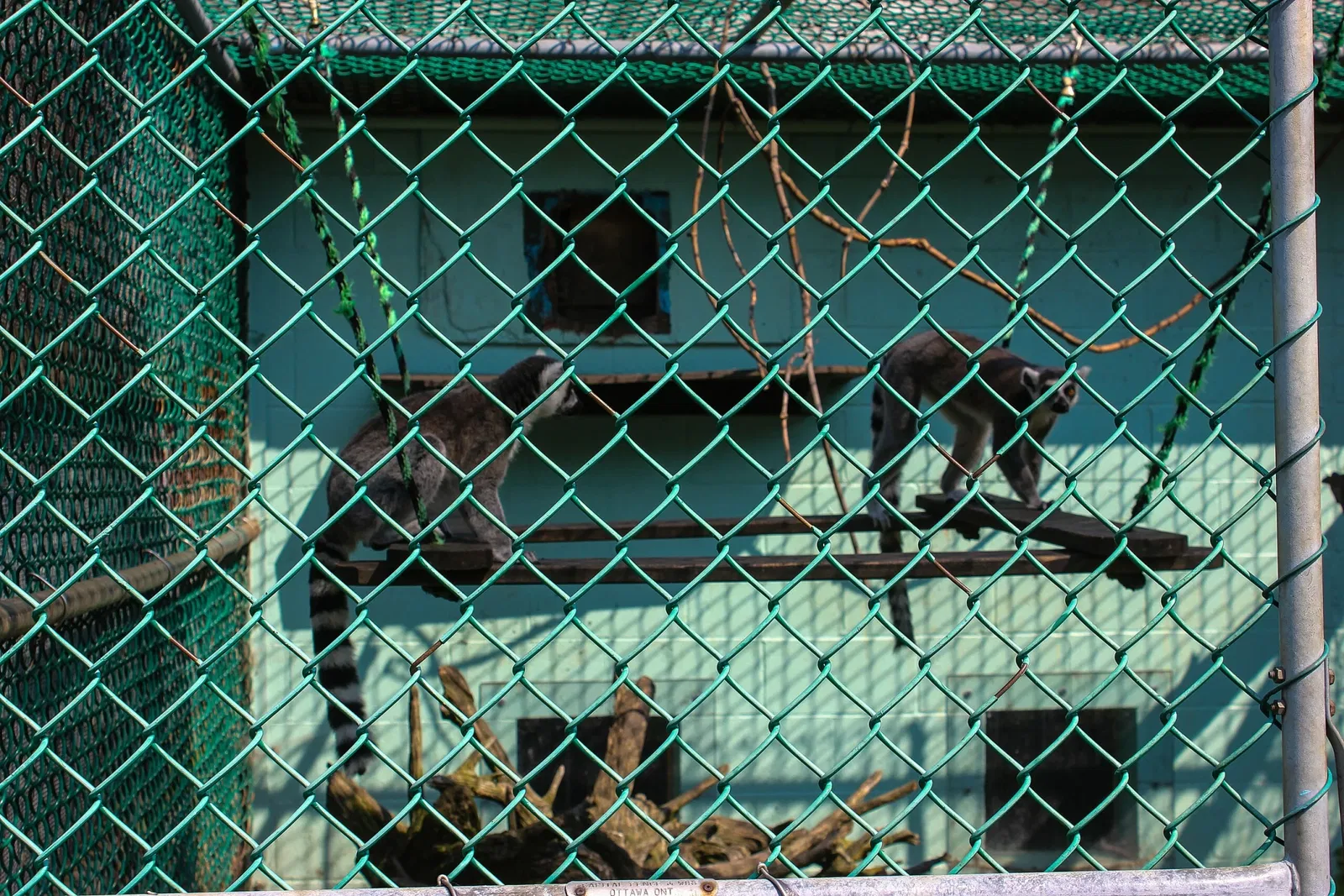 Jungle Cat World Wildlife Park