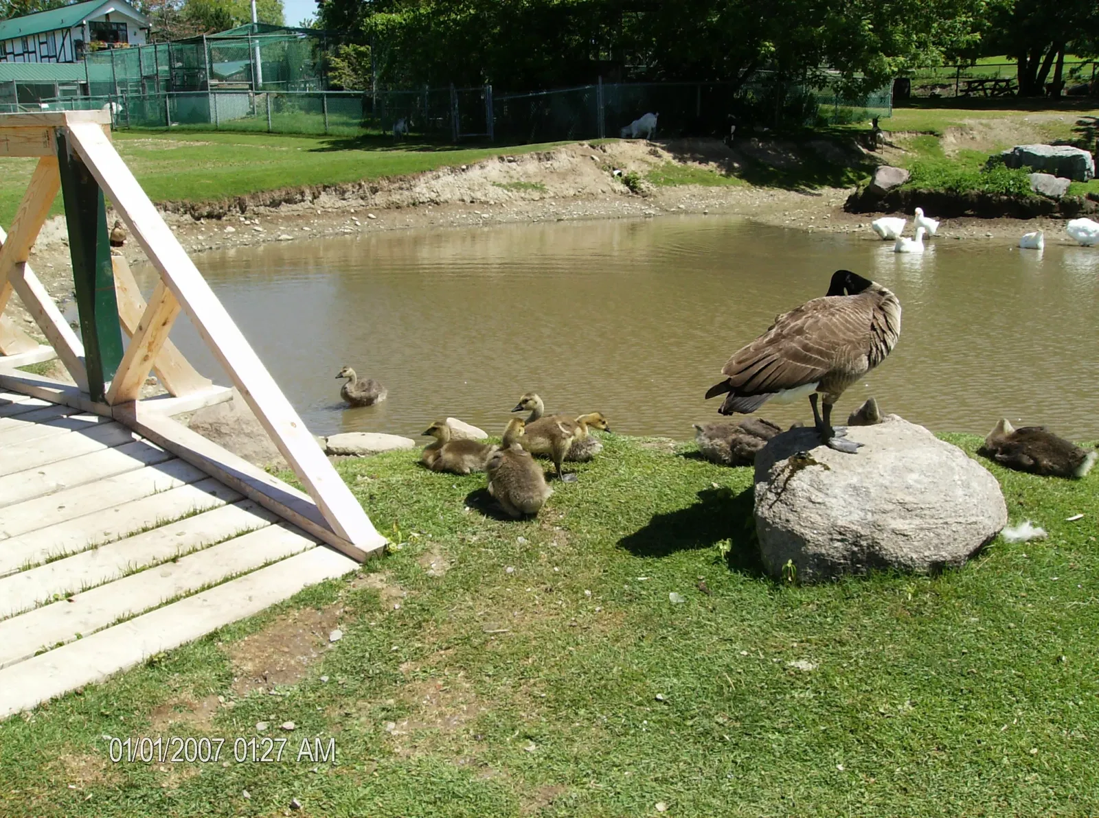 Jungle Cat World Wildlife Park