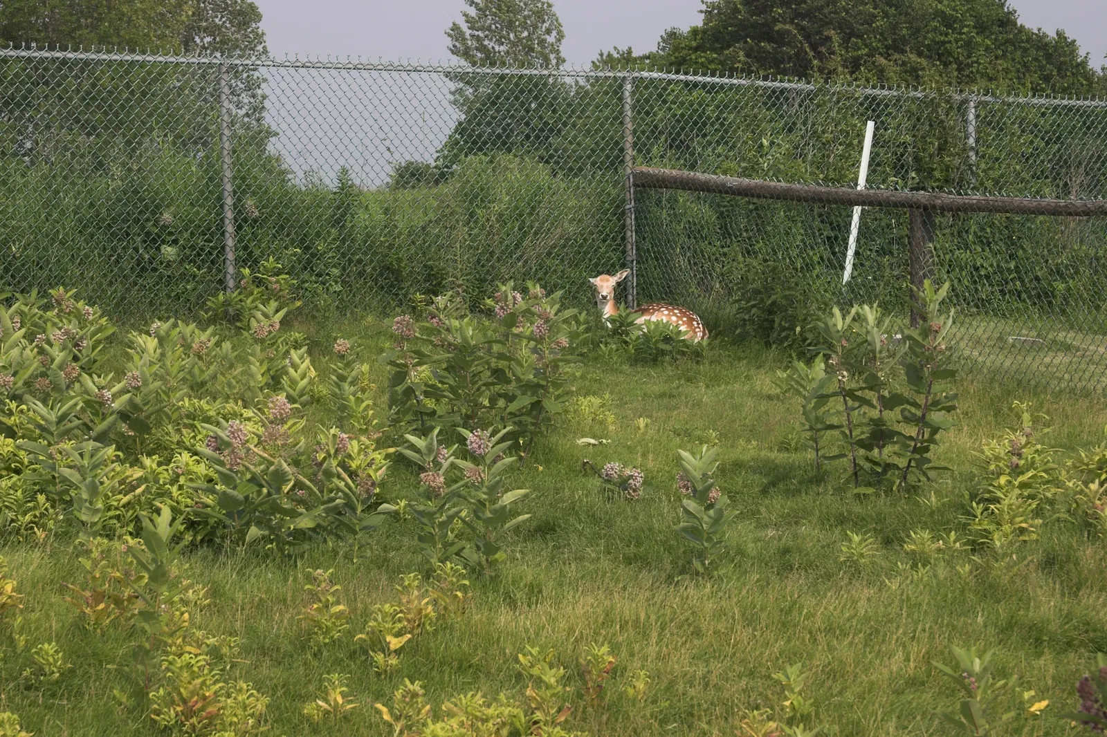 Jungle Cat World Wildlife Park