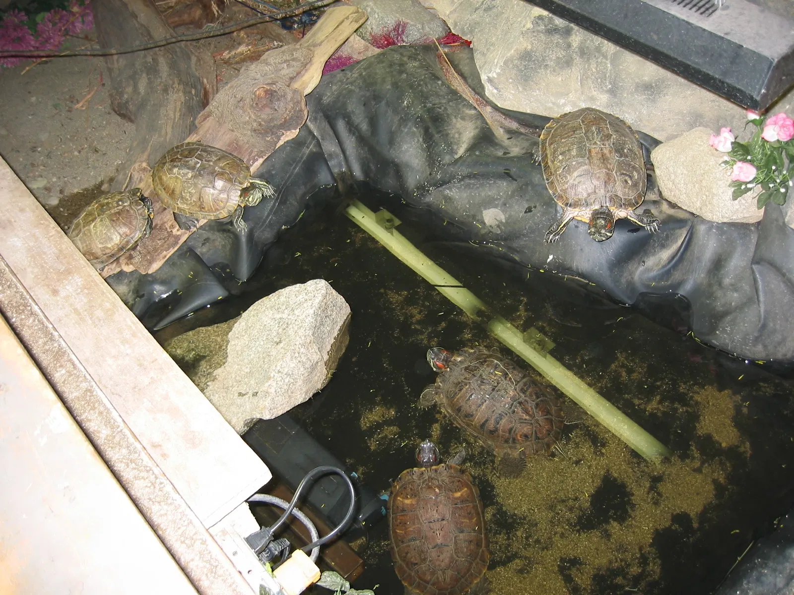 Greater Vancouver Zoo