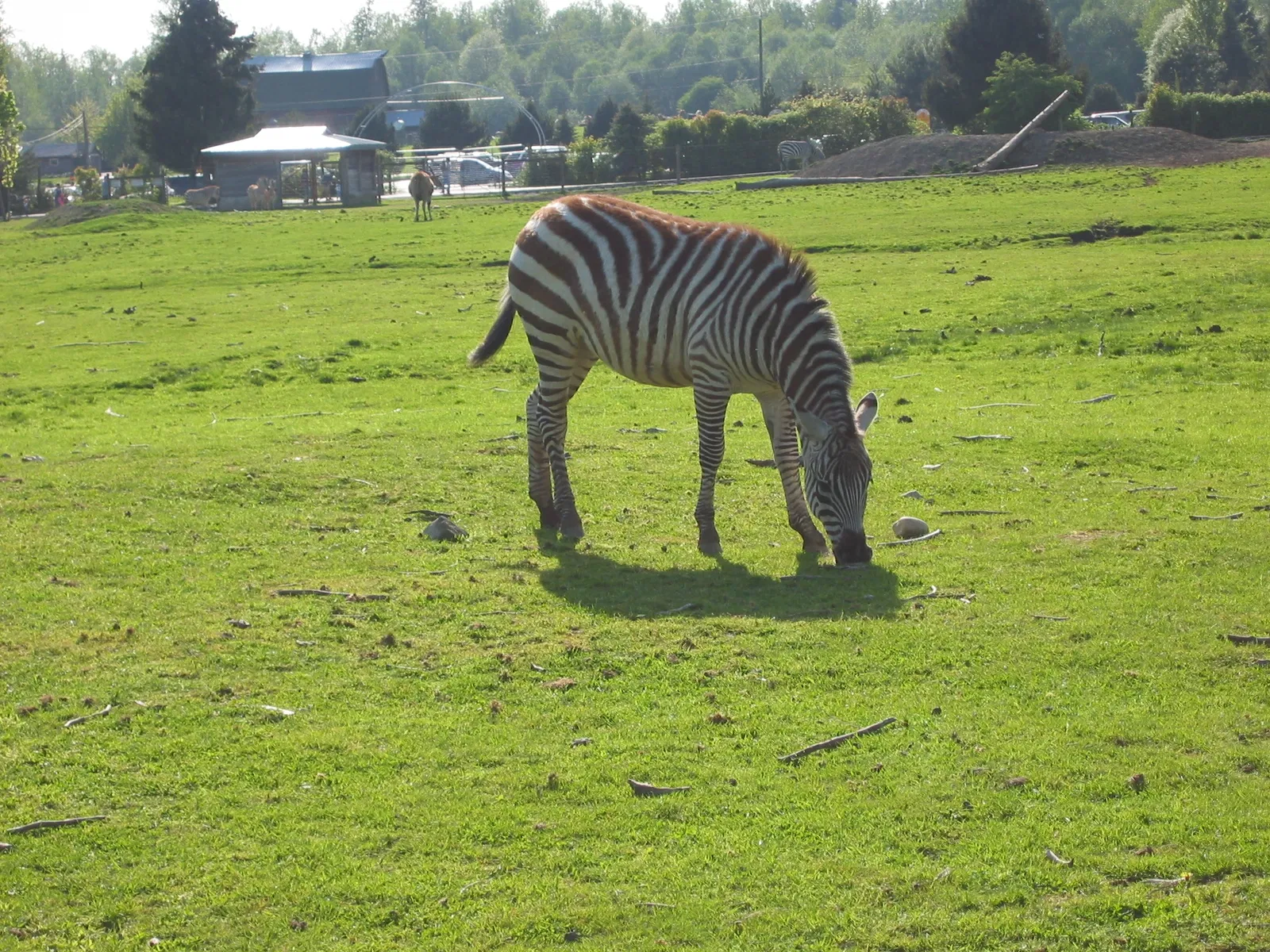 Zoológico de la Gran Vancouver