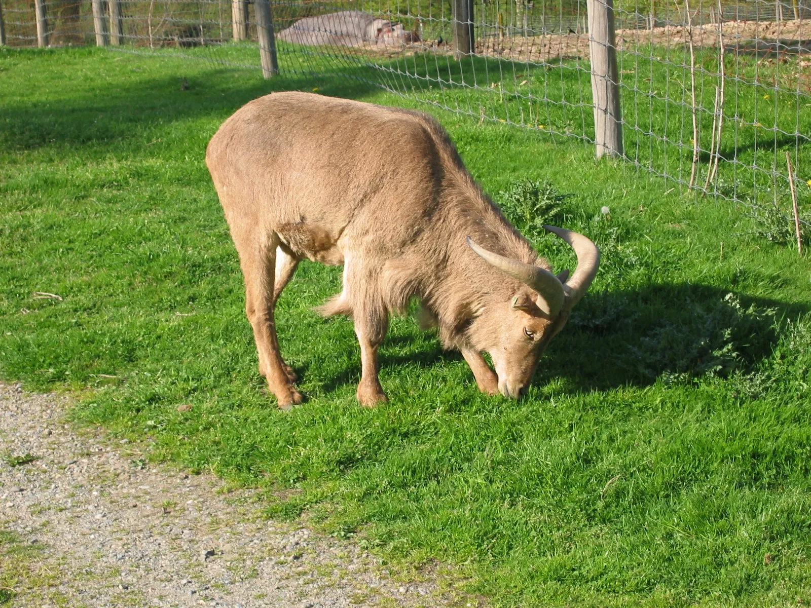 Zoológico de la Gran Vancouver