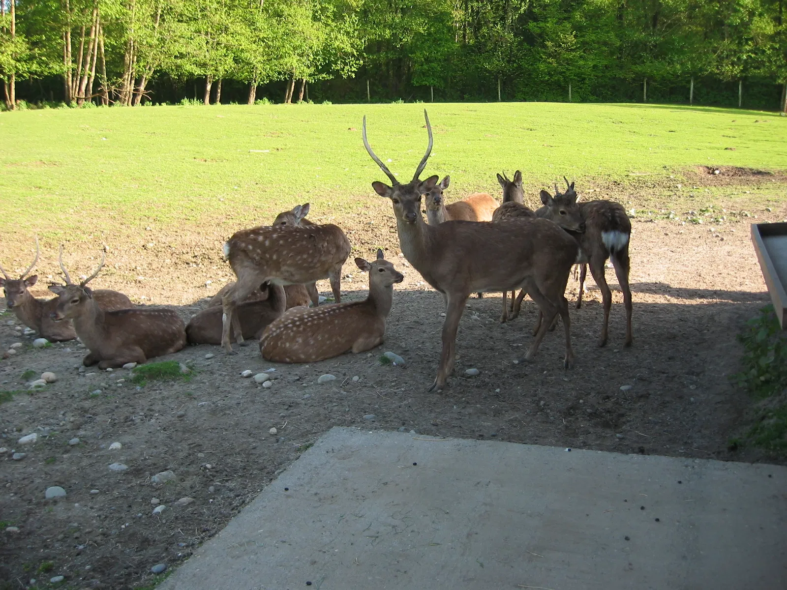 Greater Vancouver Zoo