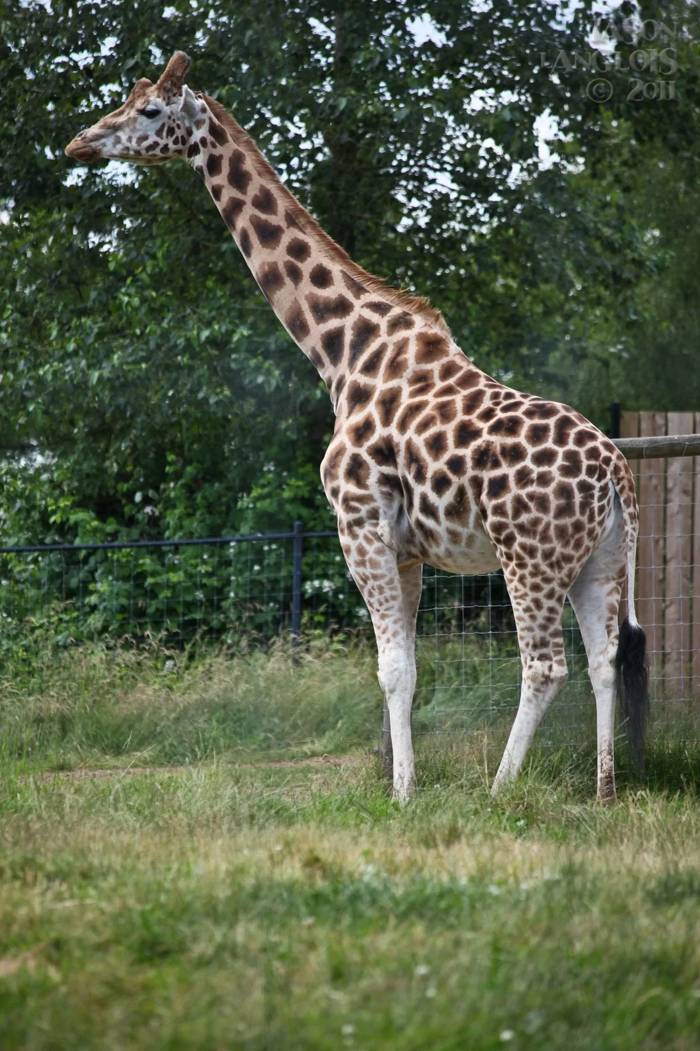 Greater Vancouver Zoo