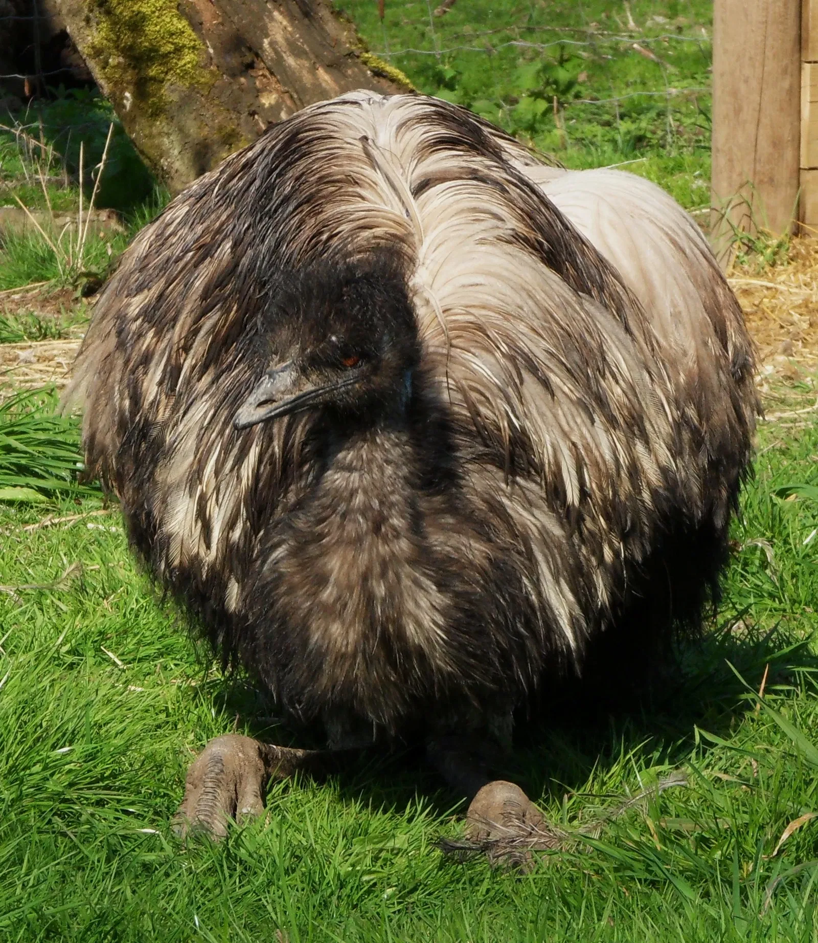 Greater Vancouver Zoo