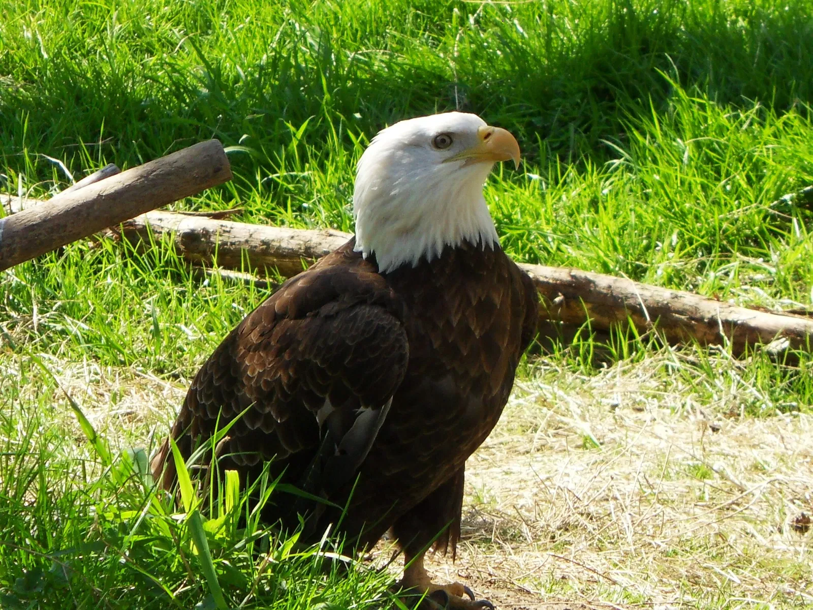 Greater Vancouver Zoo