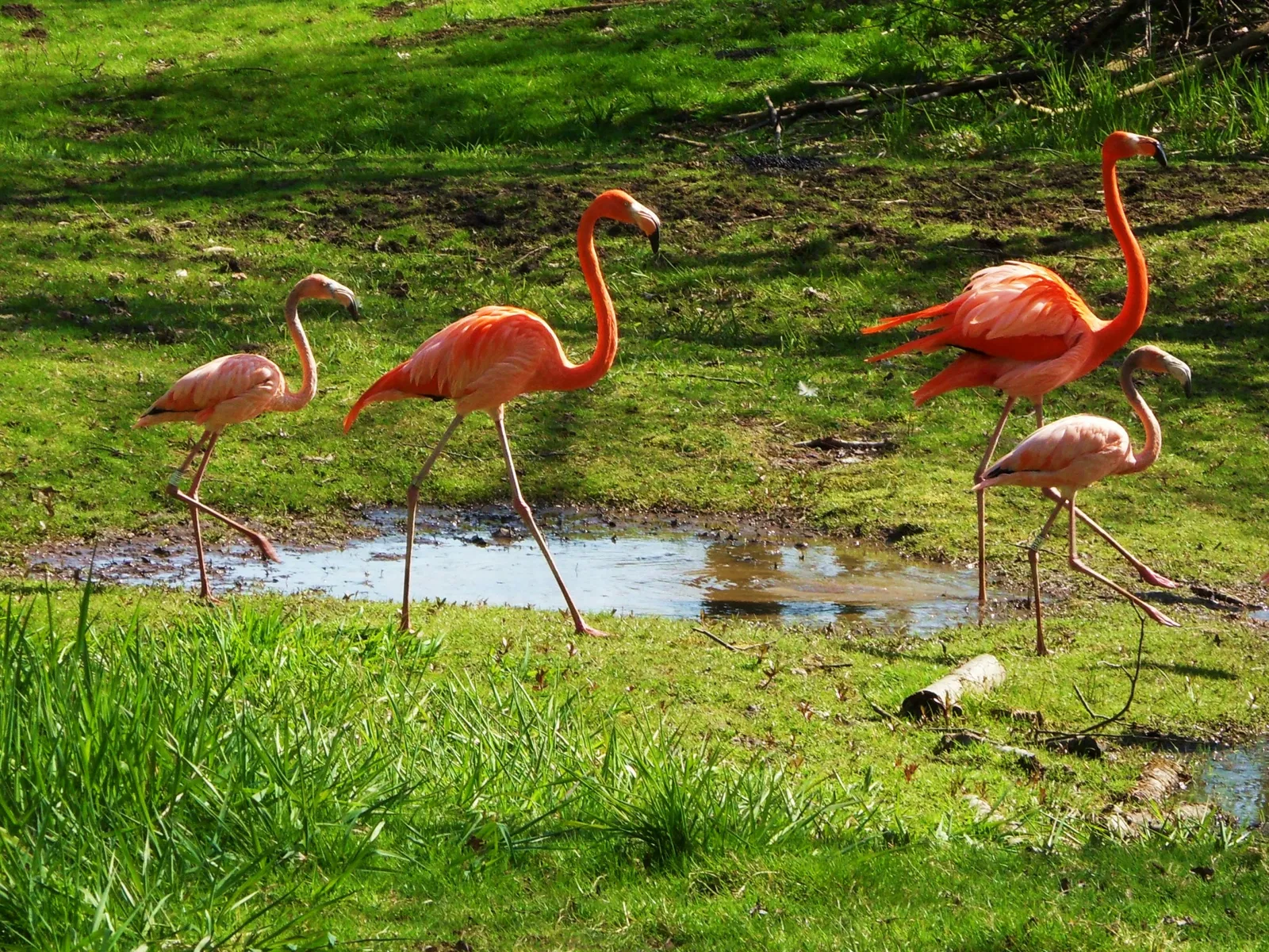 Greater Vancouver Zoo