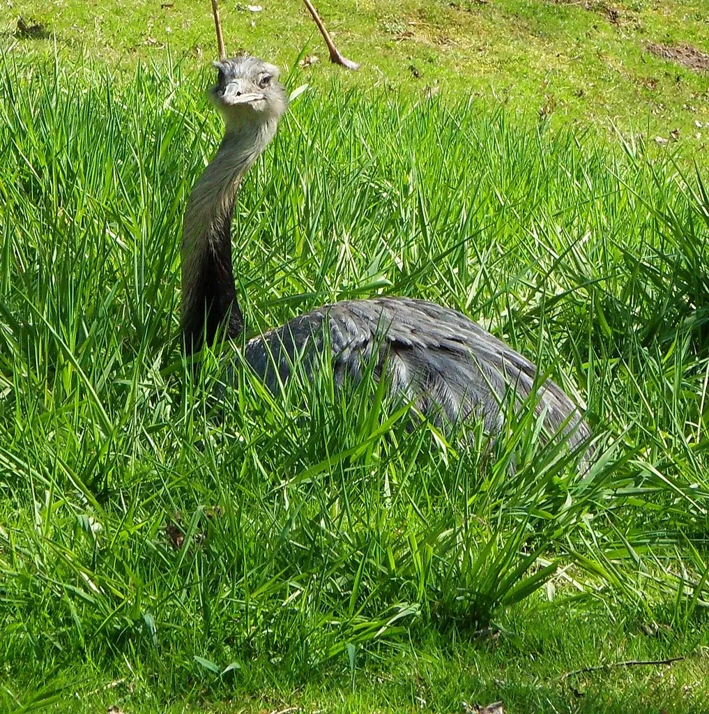 Greater Vancouver Zoo