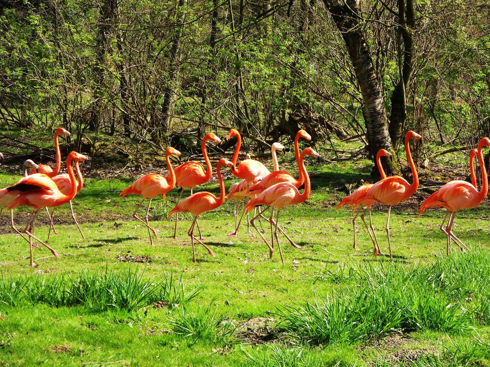 Greater Vancouver Zoo