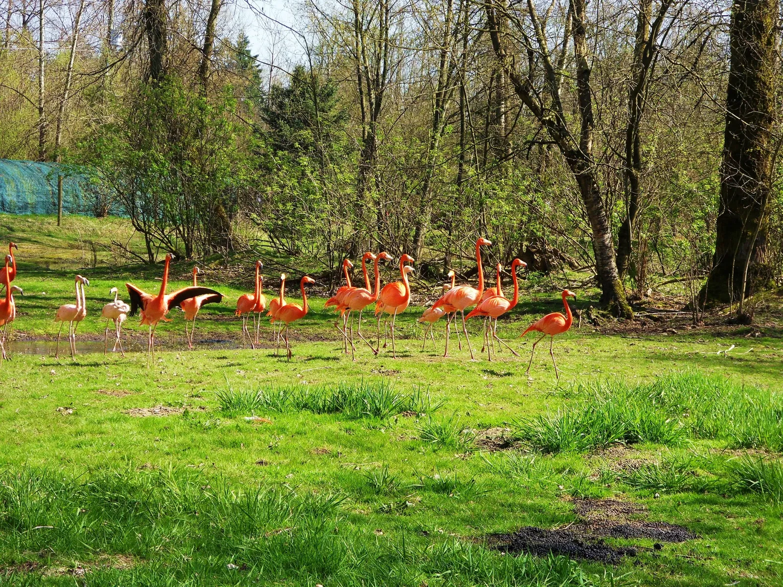 Greater Vancouver Zoo