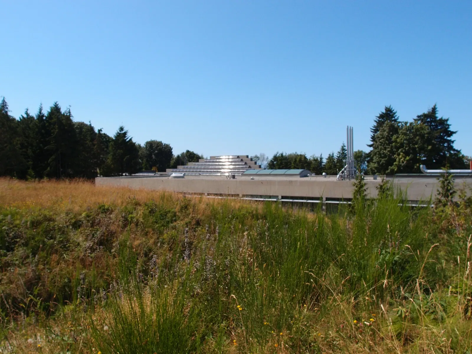 Museum of Anthropology