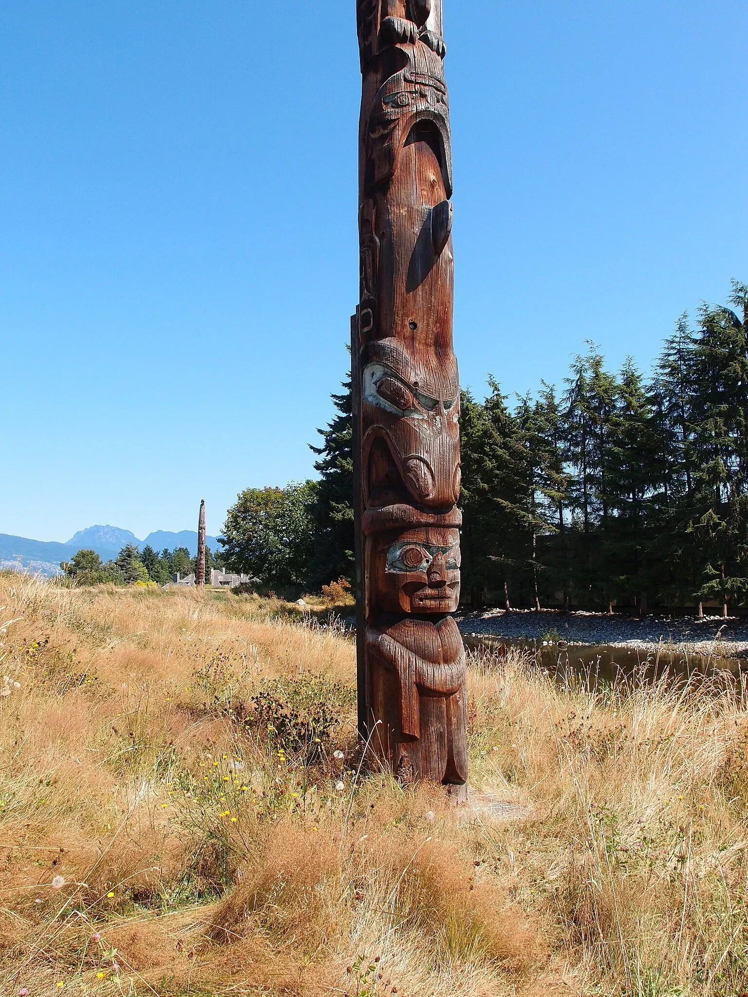 Museum of Anthropology