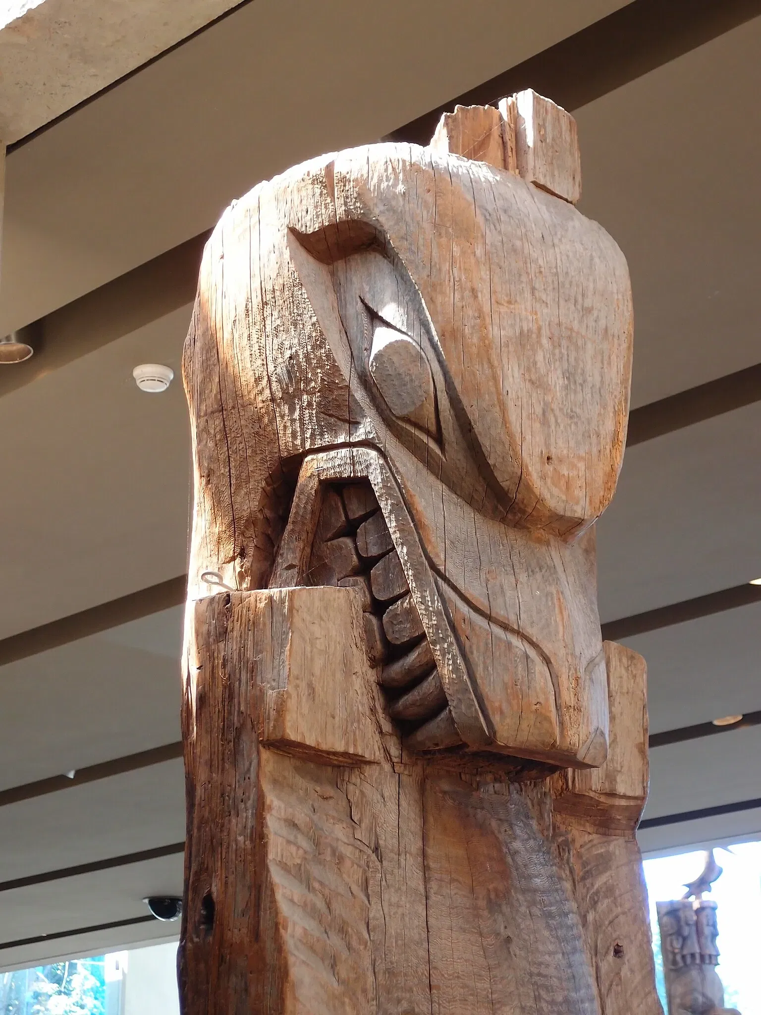 Museum of Anthropology