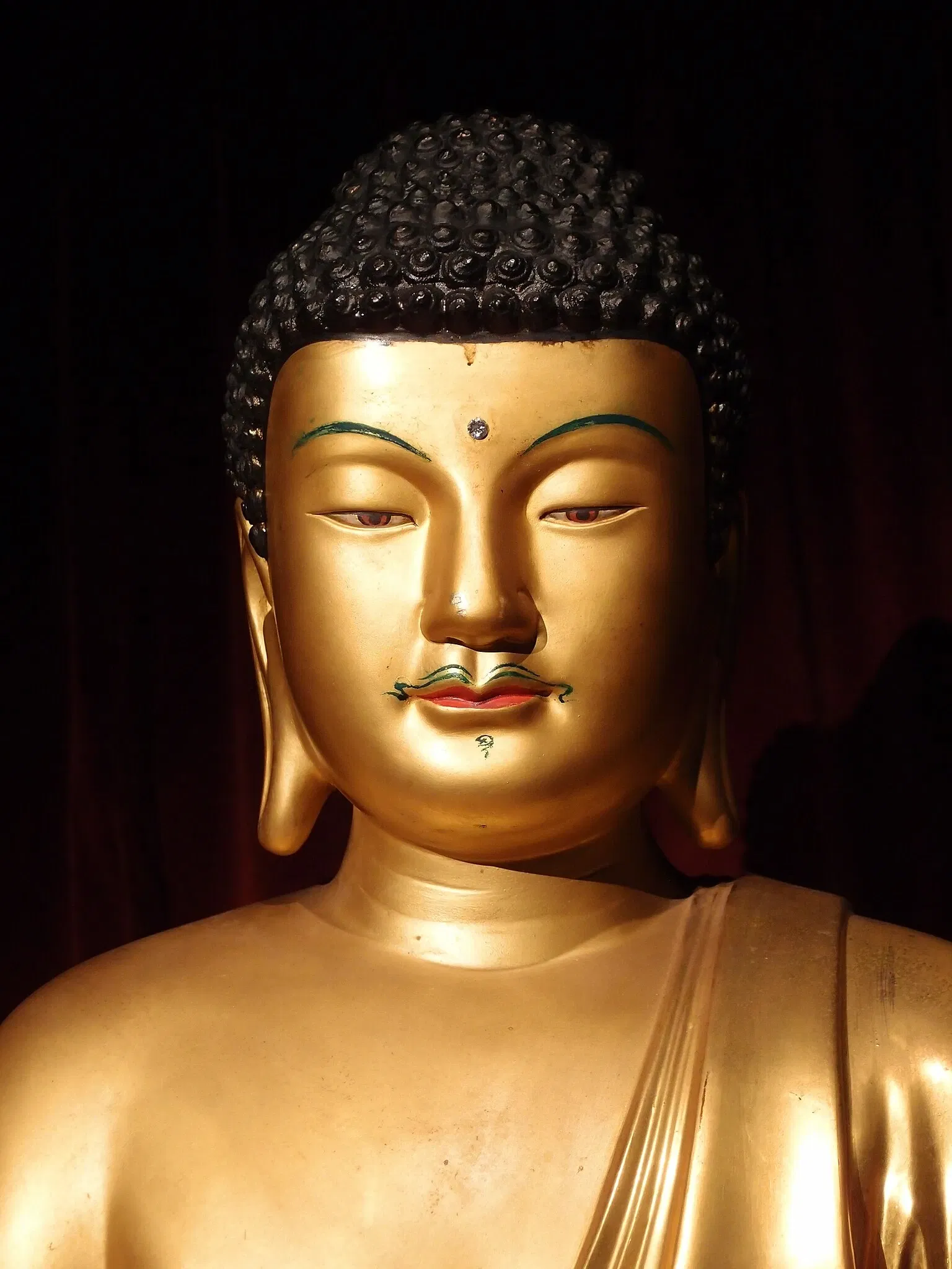 Museum of Anthropology