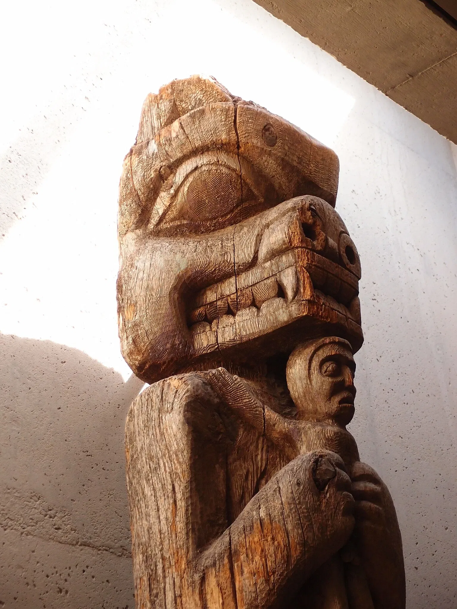 Museum of Anthropology