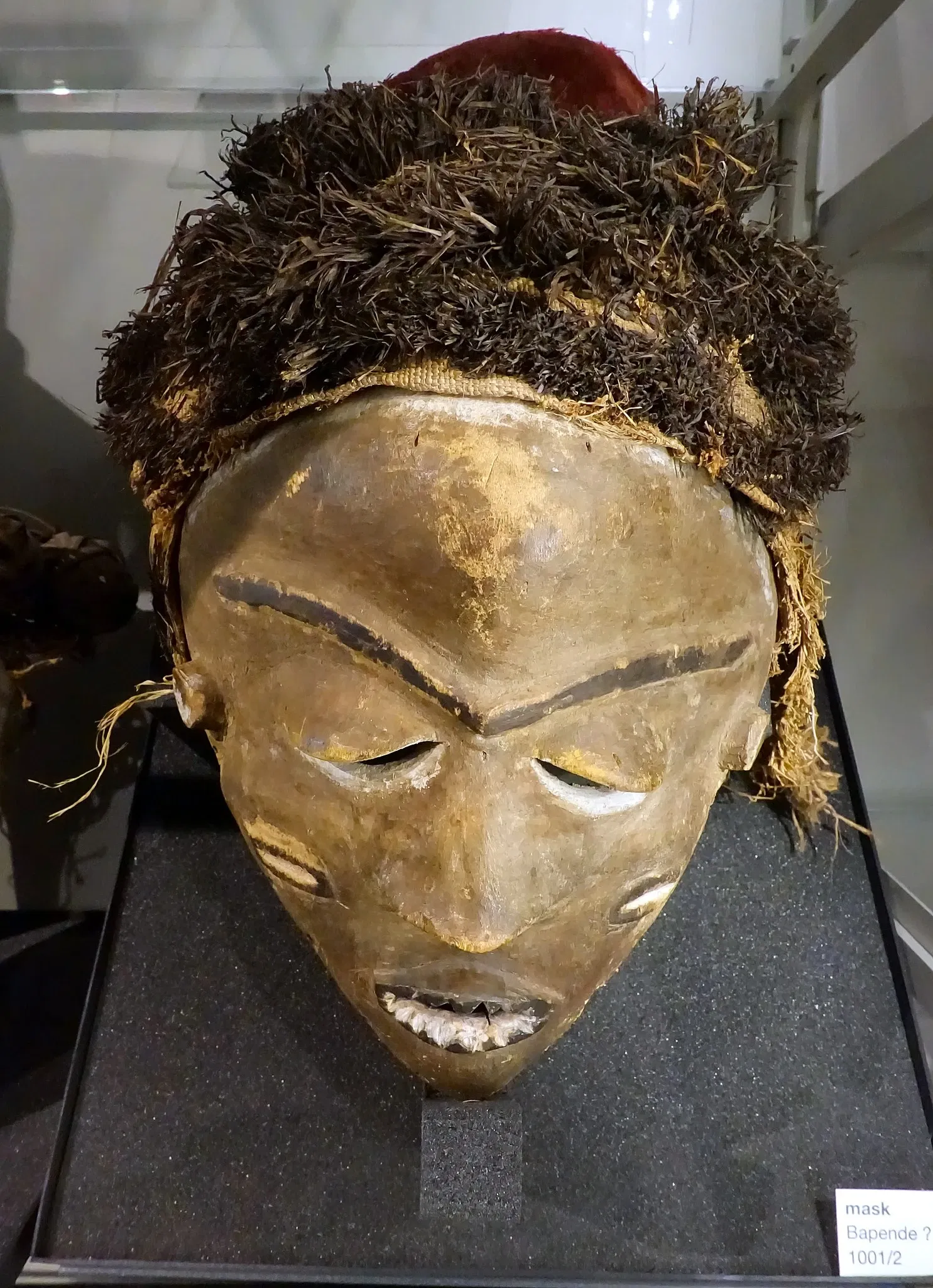 Museum of Anthropology