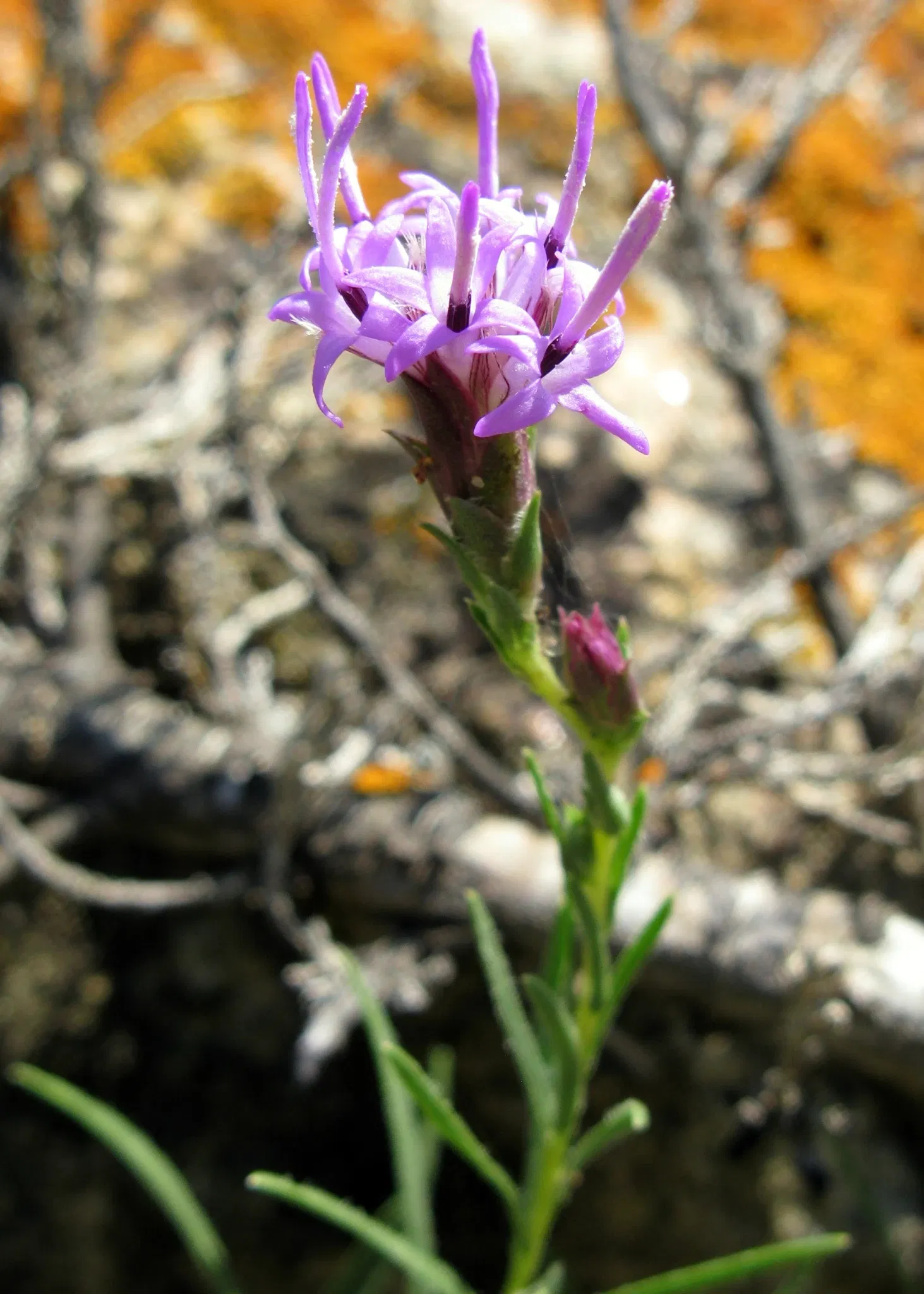 Wanuskewin Heritage Park