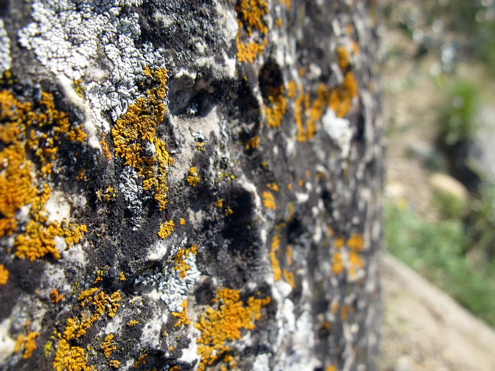 Wanuskewin Heritage Park