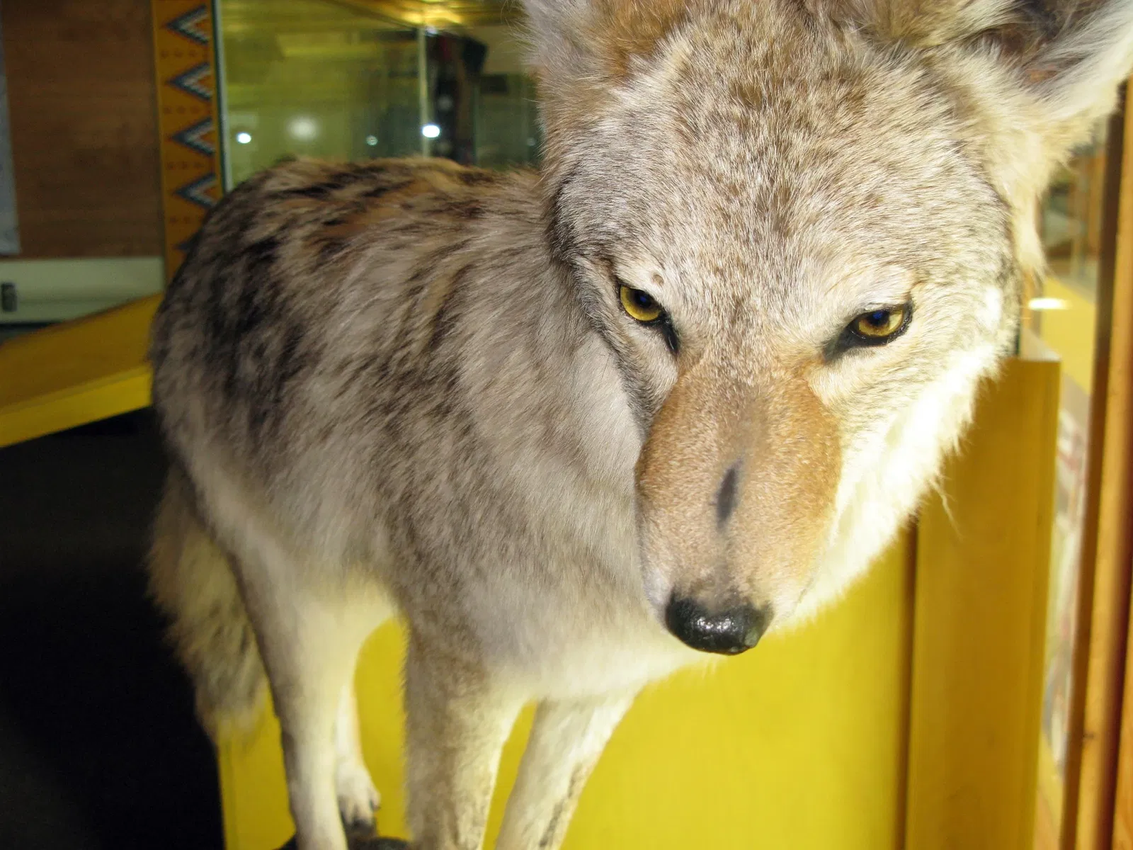 Wanuskewin Heritage Park