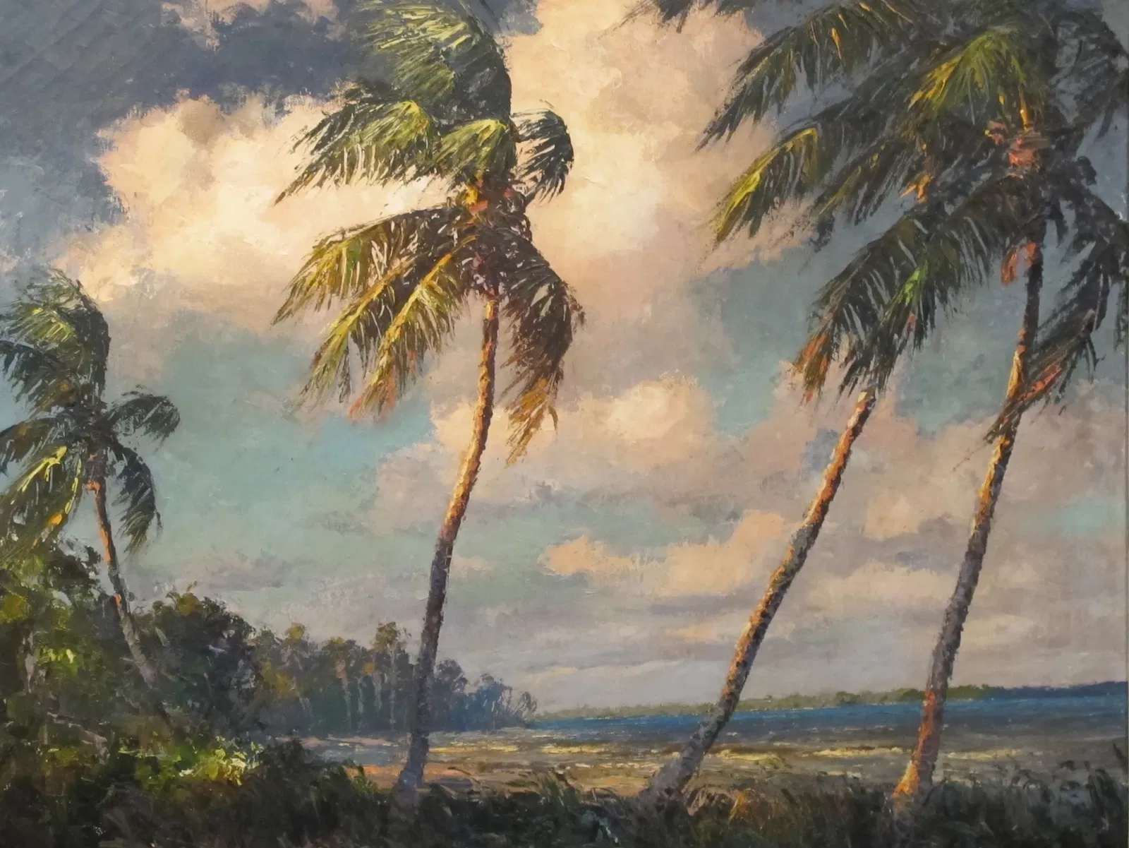 Galería y Museo A. E. Backus