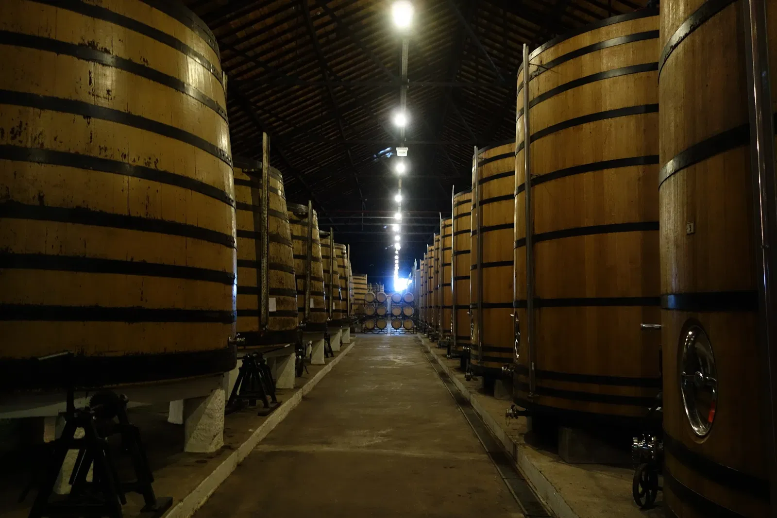 Real Companhia Velha