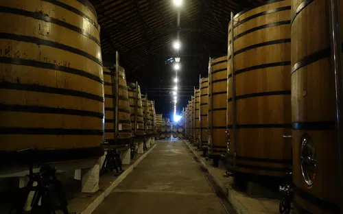 Real Companhia Velha