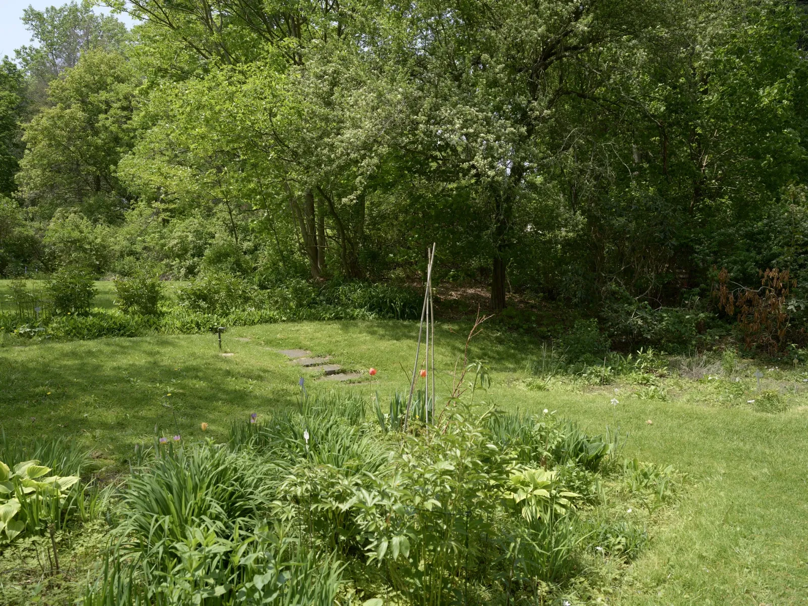 Emily Dickinson Museum