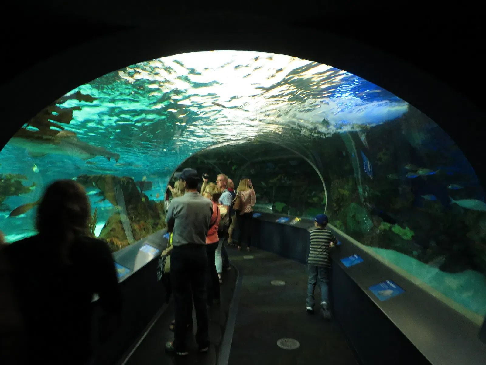 Ripley's Aquarium of Canada