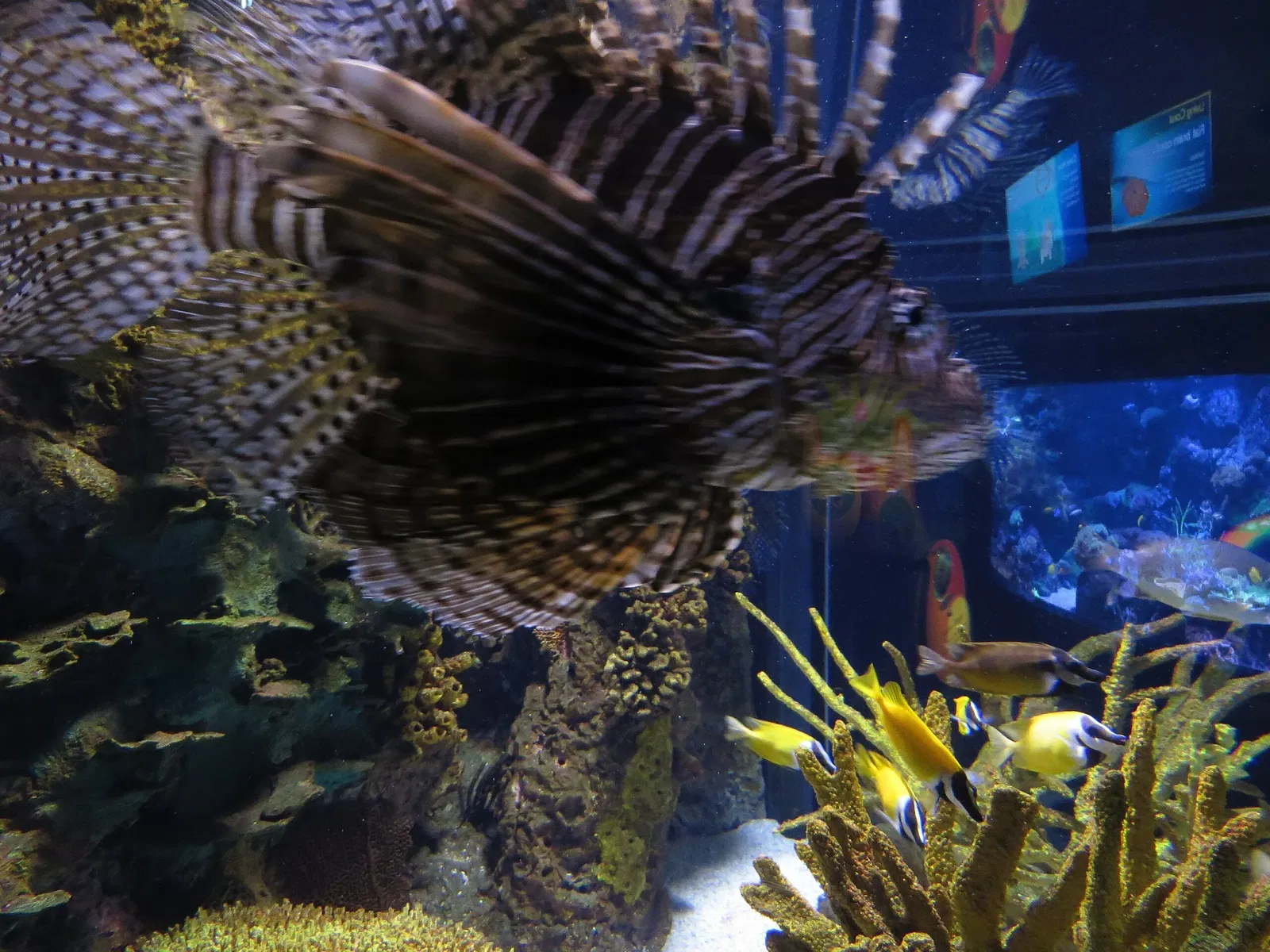 Ripley's Aquarium of Canada