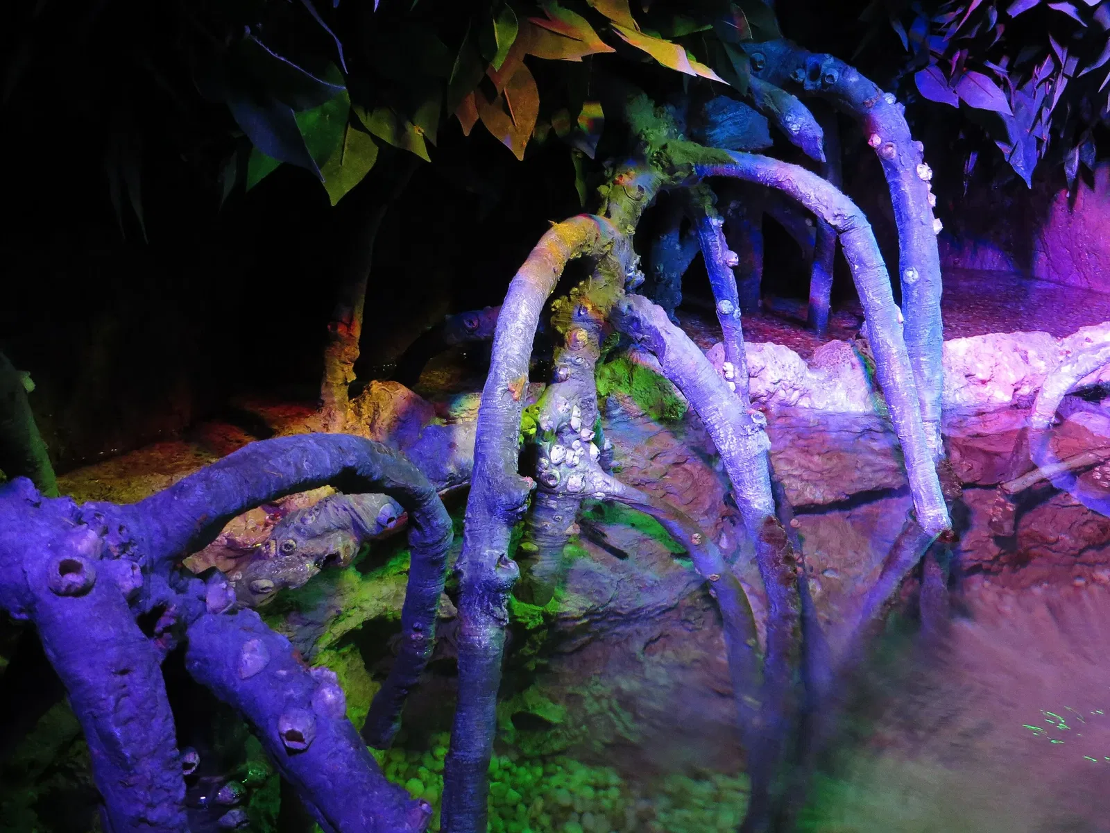 Ripley's Aquarium of Canada