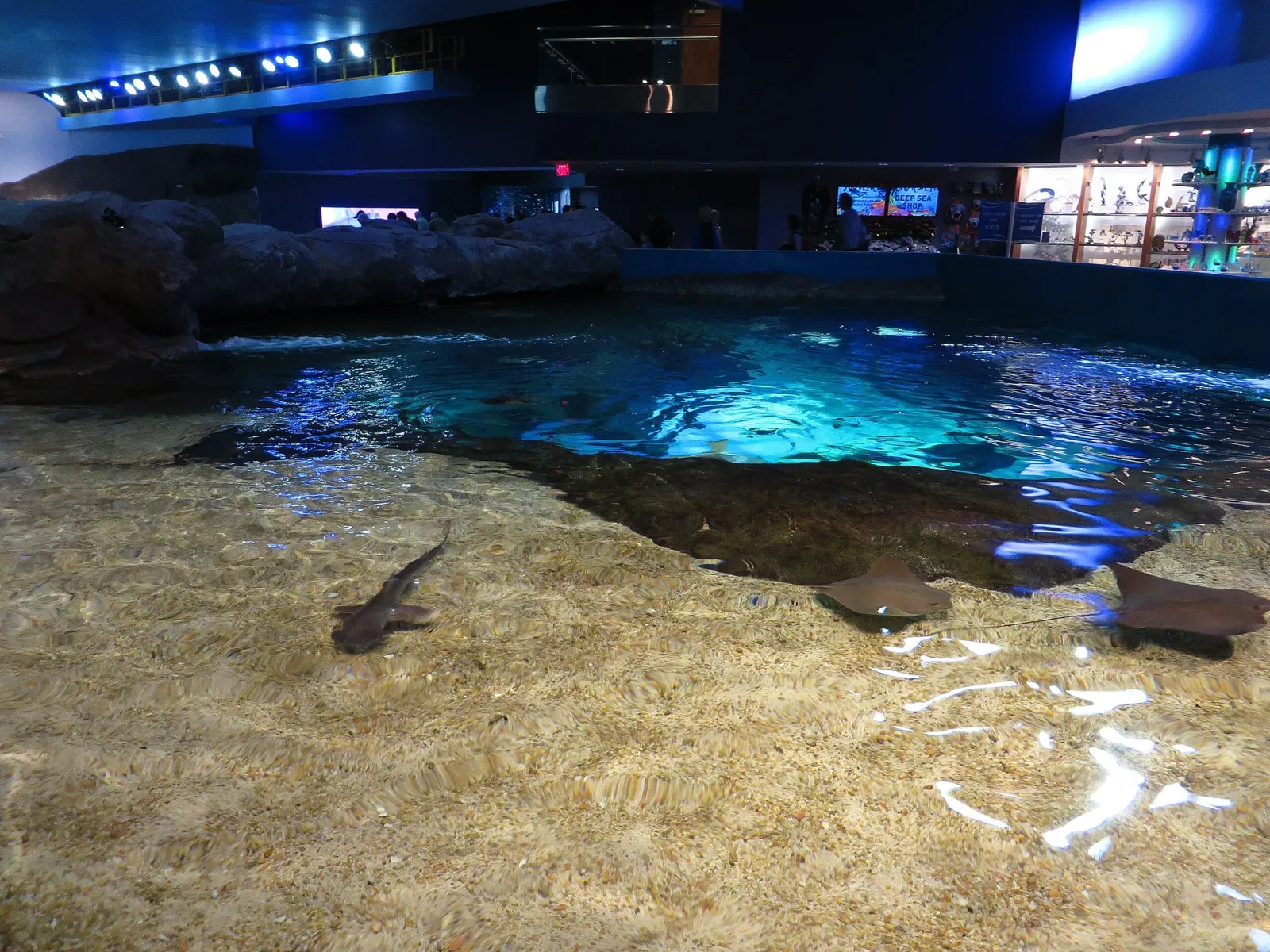 Ripley's Aquarium of Canada
