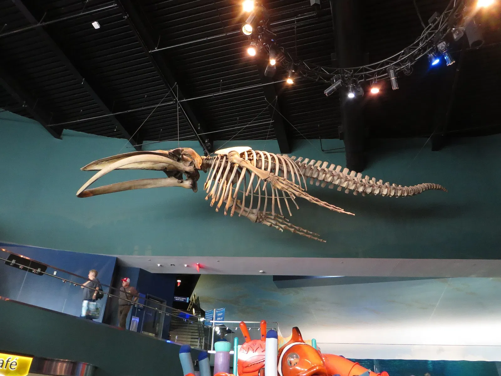 Ripley's Aquarium of Canada