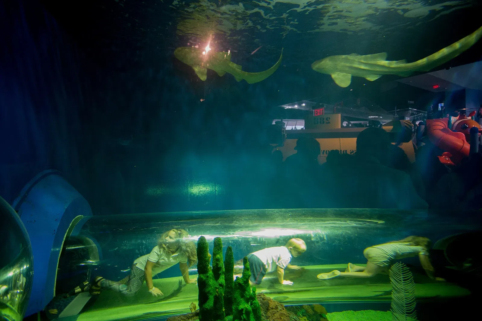 Ripley's Aquarium of Canada