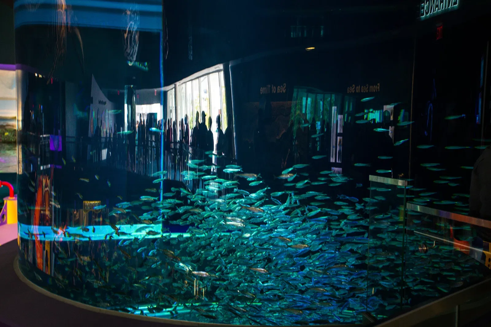 Ripley's Aquarium of Canada