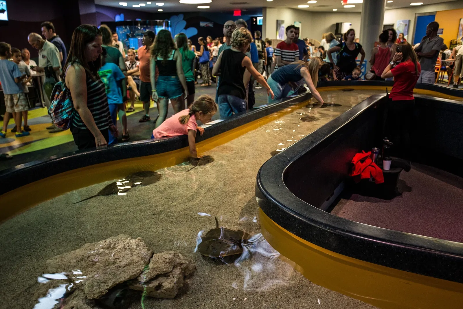 Ripley's Aquarium of Canada