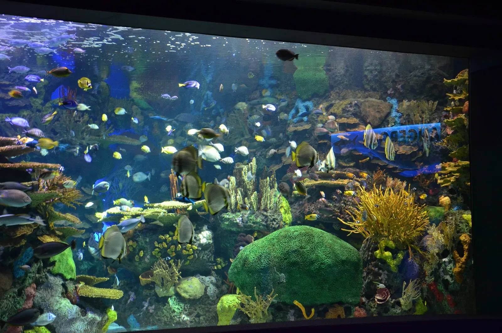 Ripley's Aquarium of Canada