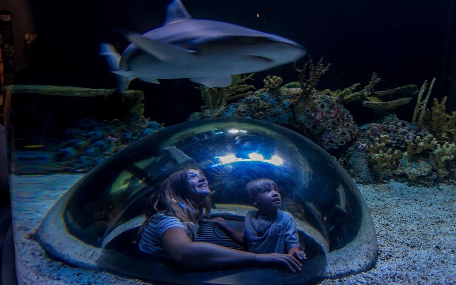 Ripley's Aquarium of Canada