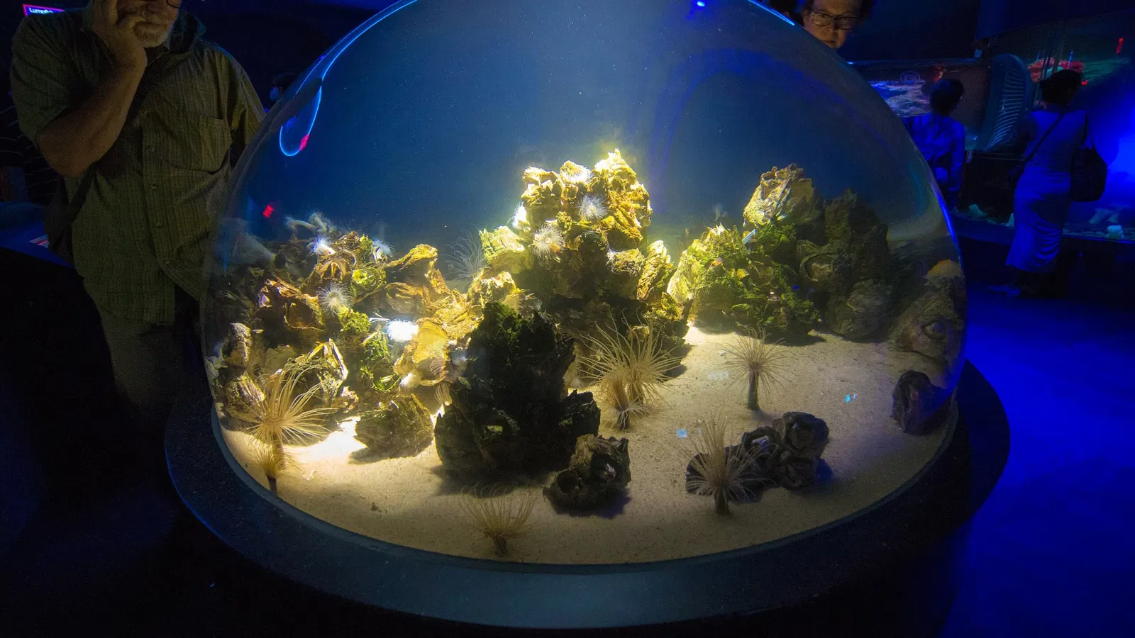 Ripley's Aquarium of Canada