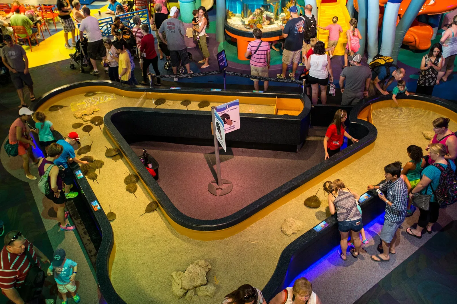 Ripley's Aquarium of Canada