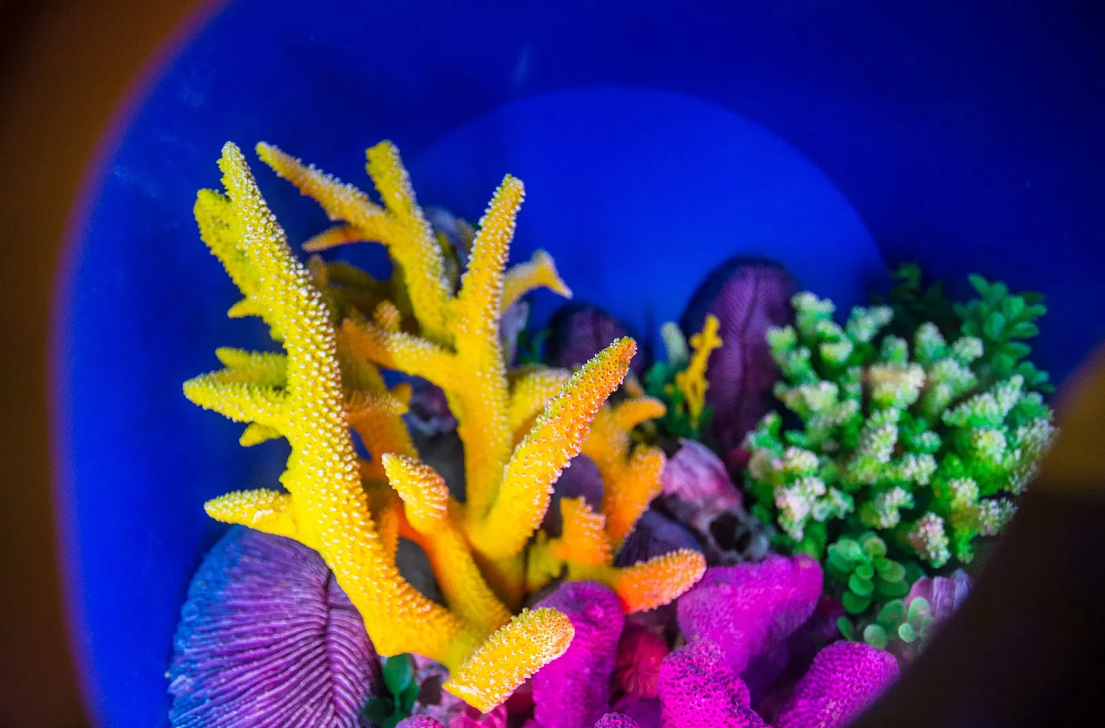 Ripley's Aquarium of Canada